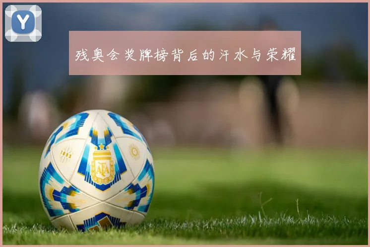 残奥会奖牌榜背后的汗水与荣耀