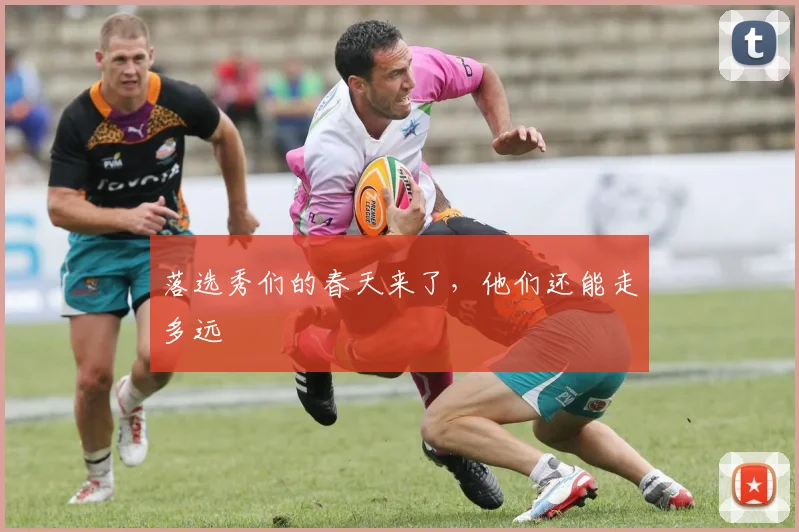 落选秀们的春天来了，他们还能走多远